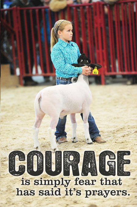 little girl with lamb saying courage 