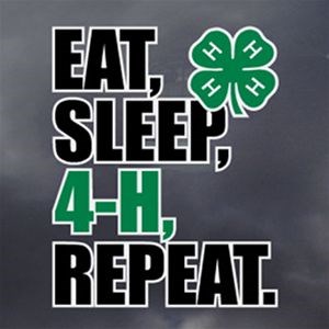 eat sleep 4h repeat