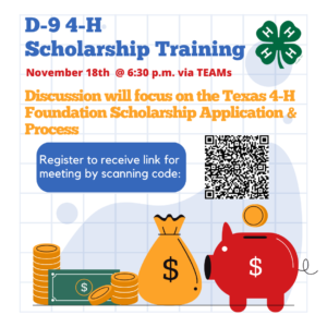 D-9 4-H Scholarship Workshop Nov. 18th Flyer